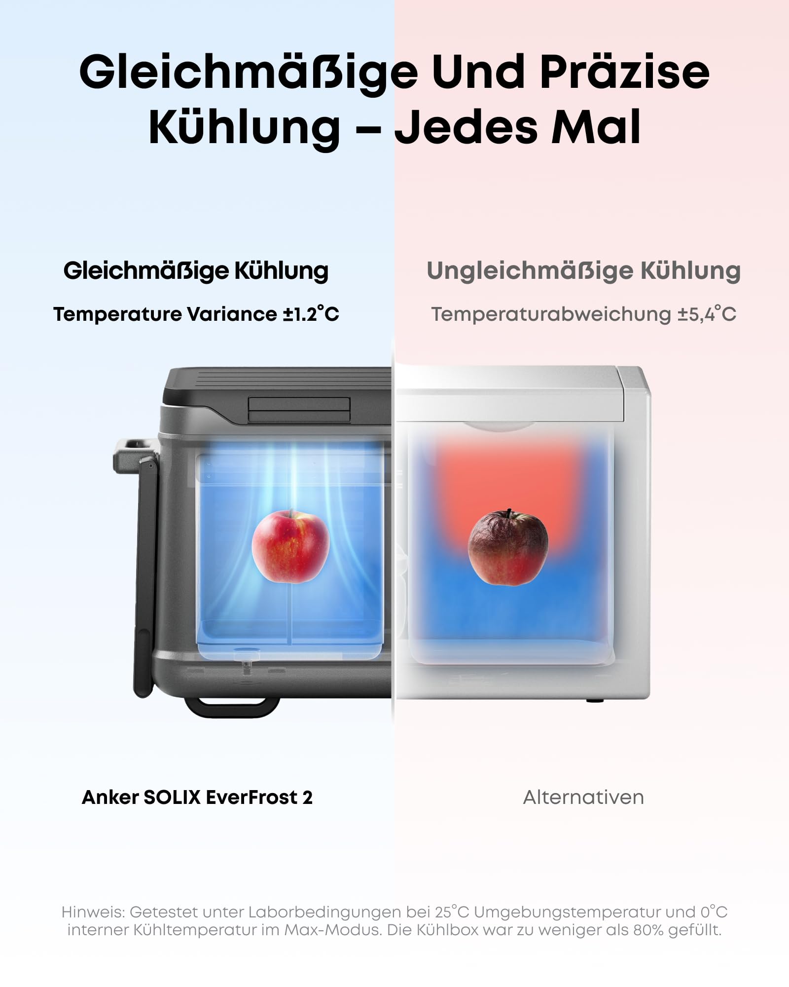 anker-solix-everfrost-2-58l-akku-k-hlbox-288wh image 4